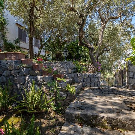 Ulivi Apt Villa Sorrento Exterior foto