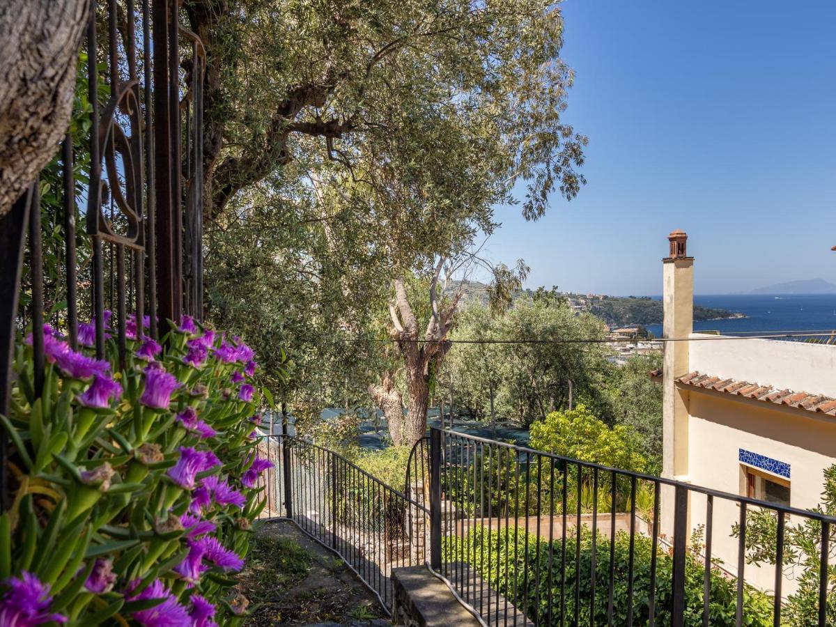Ulivi Apt Villa Sorrento Exterior foto