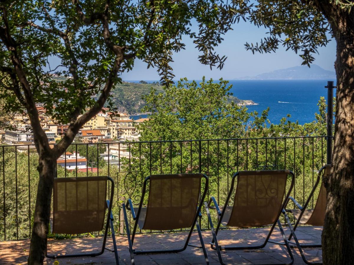 Ulivi Apt Villa Sorrento Exterior foto