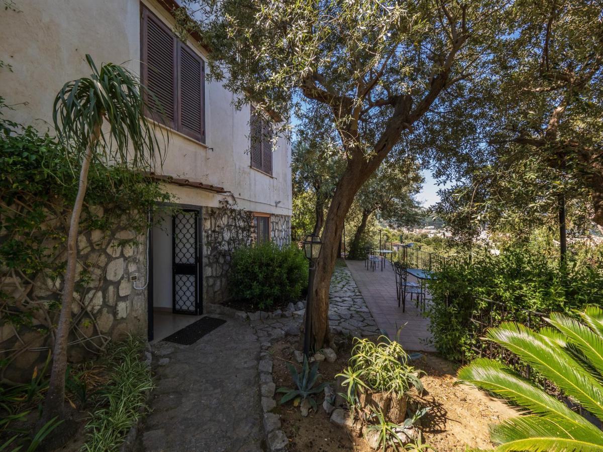 Ulivi Apt Villa Sorrento Exterior foto