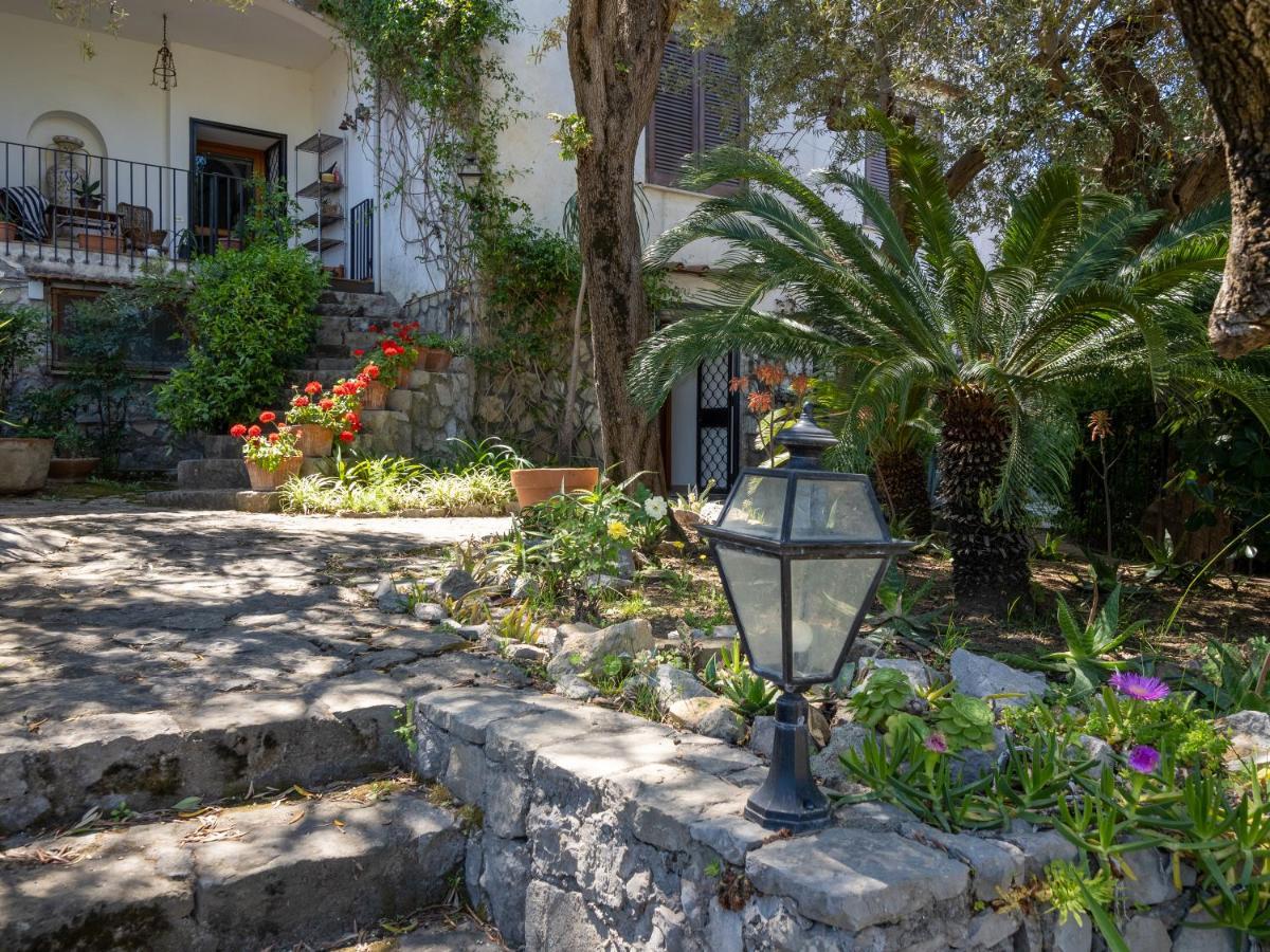 Ulivi Apt Villa Sorrento Exterior foto