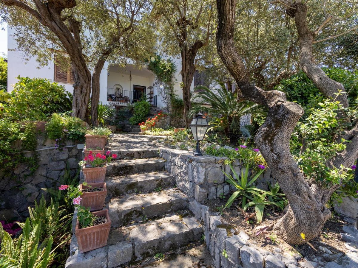 Ulivi Apt Villa Sorrento Exterior foto