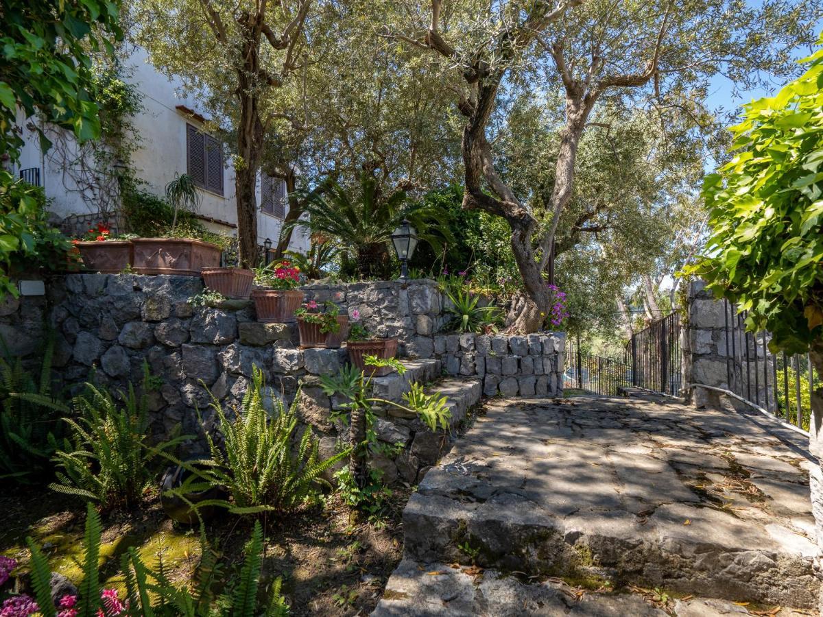 Ulivi Apt Villa Sorrento Exterior foto